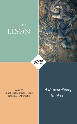 A RESPONSIBILITY TO AWE PB