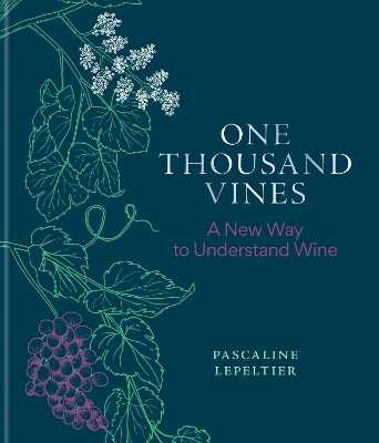 One Thousand Vines A New Way to Understand Wine
