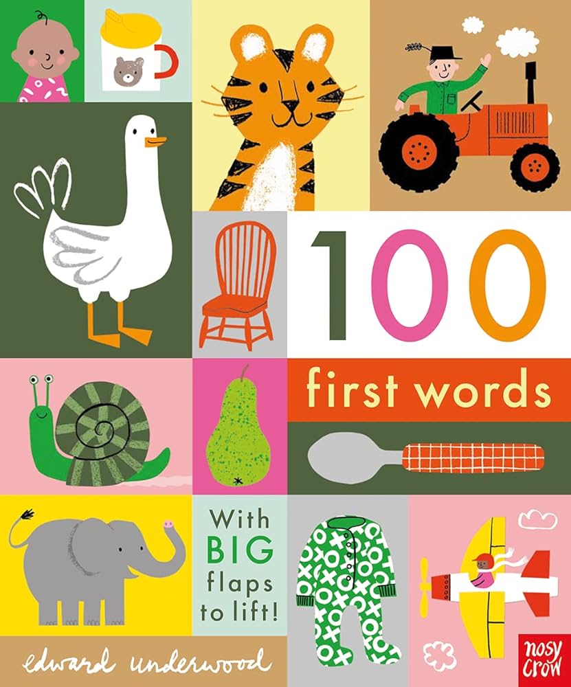 100 FIRST WORDS HC BBK 100 FIRST WORDS HC BBK