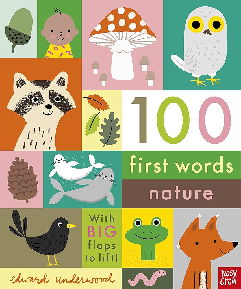 100 FIRST WORDS : NATURE HC BBK 100 FIRST WORDS : NATURE HC BBK