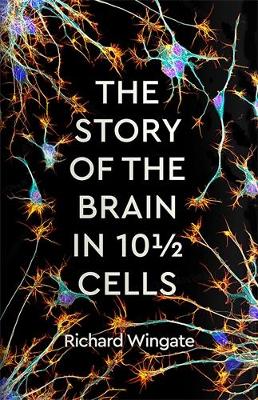 The Story of the Brain in 10½ Cells HC