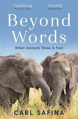 BEYOND WORDS WHAT ANIMALS THINK AND FEEL