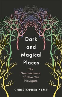 Dark and Magical Places HC