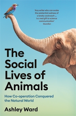 The Social Lives of Animals PB
