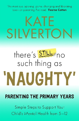 THERE'S STILL NO SUCH THING AS 'NAUGHTY' : PARENTING THE PRIMARY YEARS PB