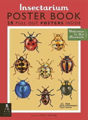 Welcome to the Museum: Insectarium Poster Book