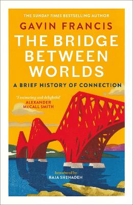 THE BRIDGE BETWEEN WORLDS : A BRIEF HISTORY OF CONNECTION PB
