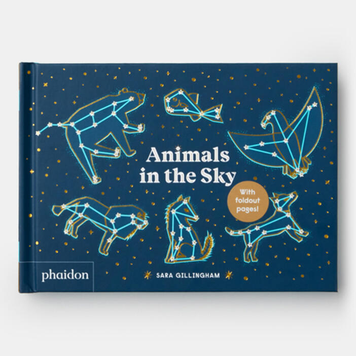 ANIMALS IN THE SKY HC BBK ANIMALS IN THE SKY HC BBK
