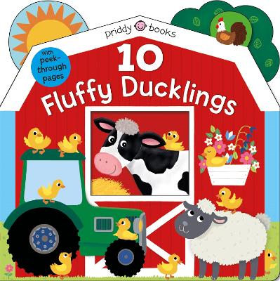 10 FLUFFY DUCKLINGS 10 FLUFFY DUCKLINGS