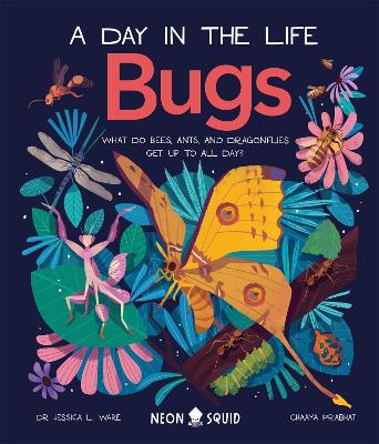 BUGS (A DAY IN THE LIFE) BUGS (A DAY IN THE LIFE)