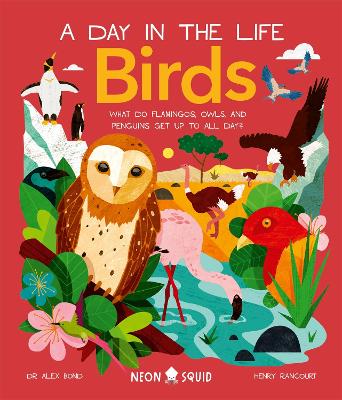 BIRDS (A DAY IN THE LIFE) BIRDS (A DAY IN THE LIFE)