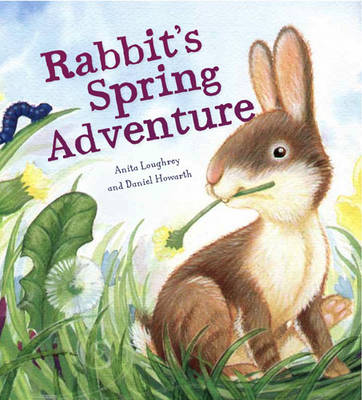 ANIMAL SEASONS : RABBIT'S SPRING ADVENTURE PB