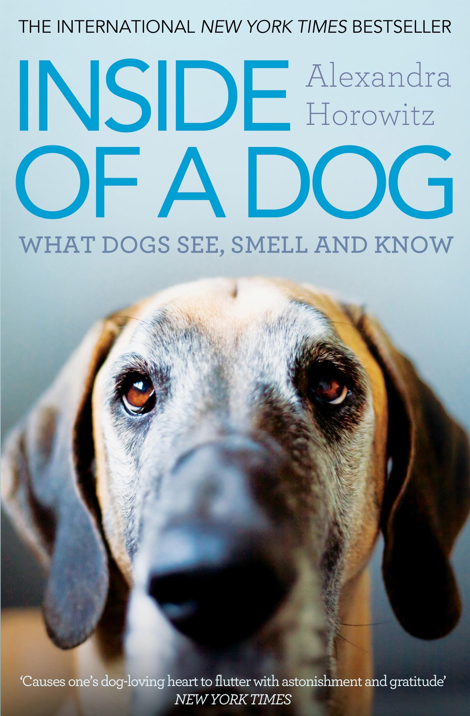 INSIDE OF A DOG : WHAT DOGS SEE, SMELL AND KNOW