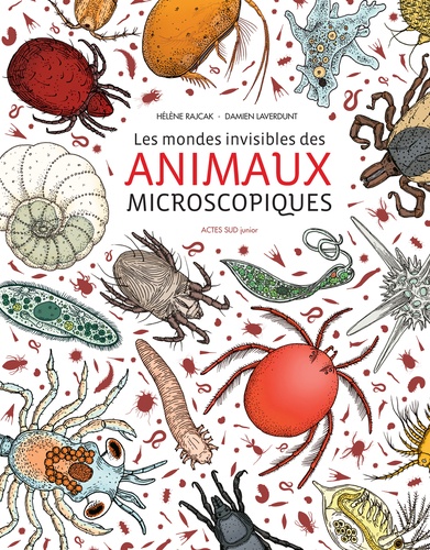 LES MONDES INVISIBLES DES ANIMAUX MICROSCOPIQUES  POCHE