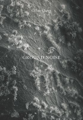 GROUND NOISE HC