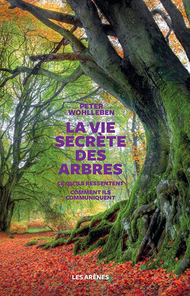 LA VIE SECRETE DES ARBRES  POCHE