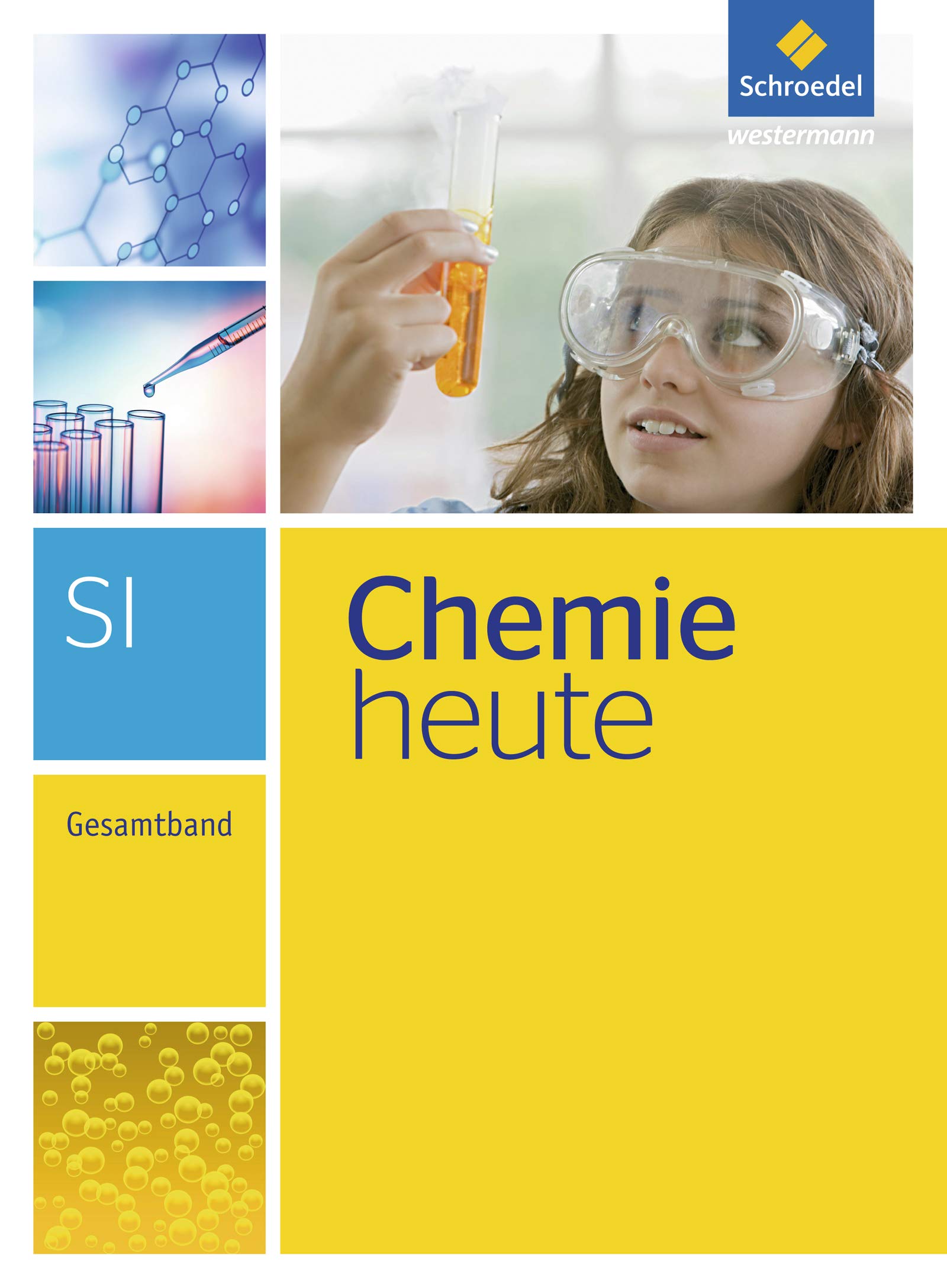 CHEMIE HEUTE SI – GESAMTBAND