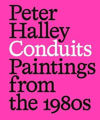 PETER HALLEY: CONDUITS: PAINTINGS FROM THE 1980S PB