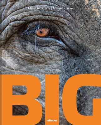 Big : A Photographic Album of the World's Largest Animals