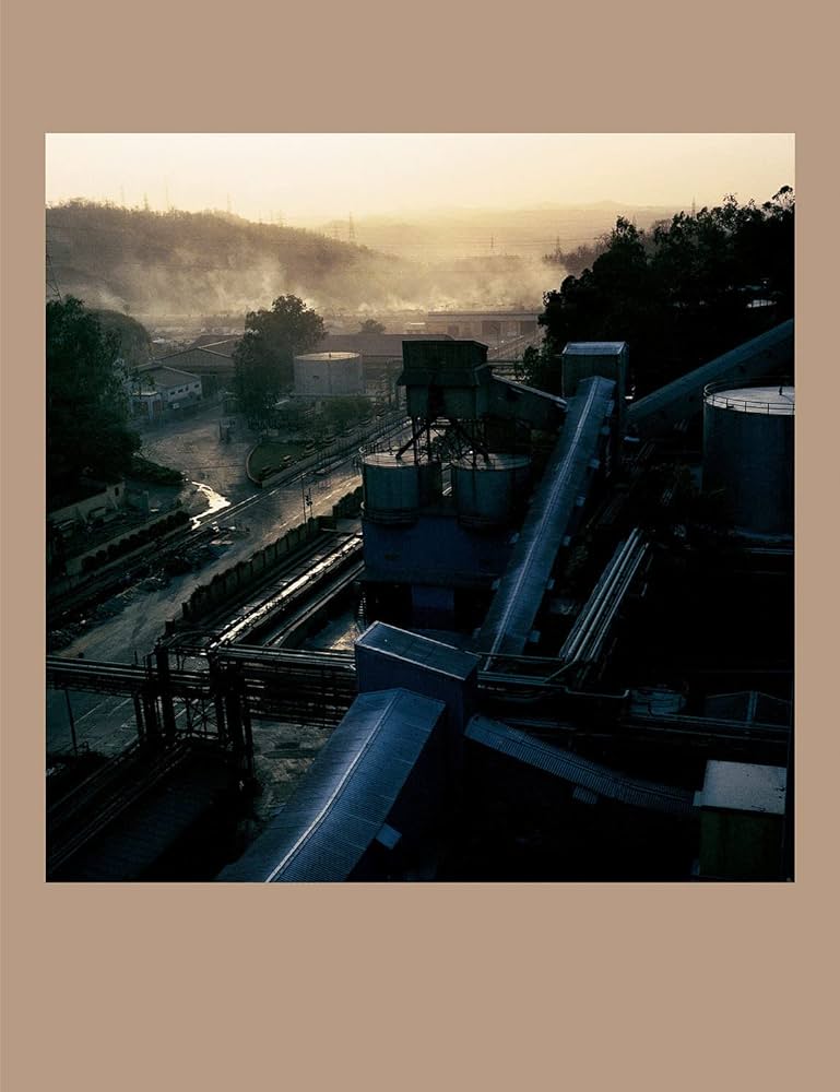 DAYANITA SINGH: WORK IN PROCESS HC
