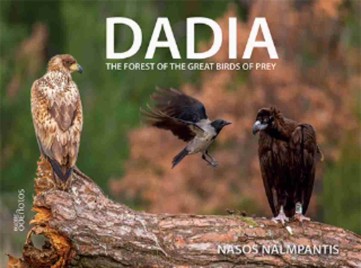 DADIA : THE FOREST OF THE GREAT BIRDS OF PRAY