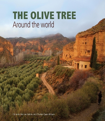 THE OLIVE TREE : AROUND THE WORLD