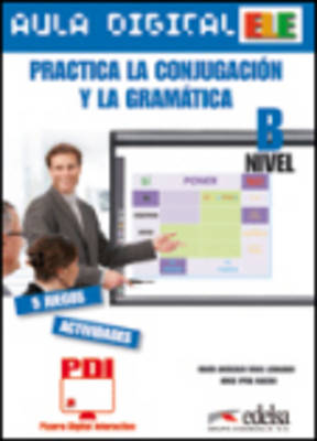 AULA DIGITAL: CONJUGACION Y GRAMATICA NIVEL B CD-ROM