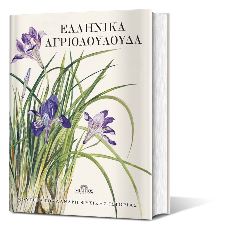 ΕΛΛΗΝΙΚΑ ΑΓΡΙΟΛΟΥΛΟΥΔΑ