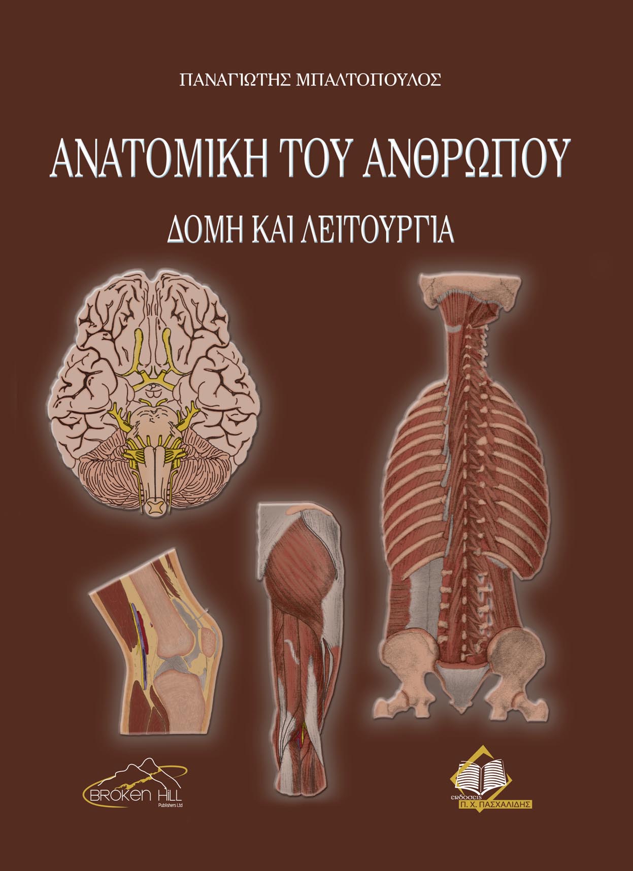 ΑΝΑΤΟΜΙΚΗ ΤΟΥ ΑΝΘΡΩΠΟΥ -ΔΟΜΗ ΚΑΙ ΛΕΙΤΟΥΡΓΙΑ