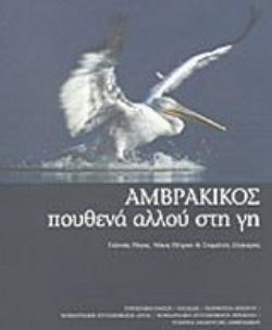 ΑΜΒΡΑΚΙΚΟΣ ΠΟΥΘΕΝΑ ΑΛΛΟΥ ΣΤΗ ΓΗ