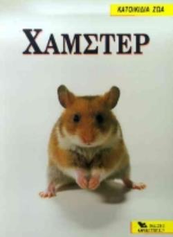 ΧΑΜΣΤΕΡ ΧΑΜΣΤΕΡ
