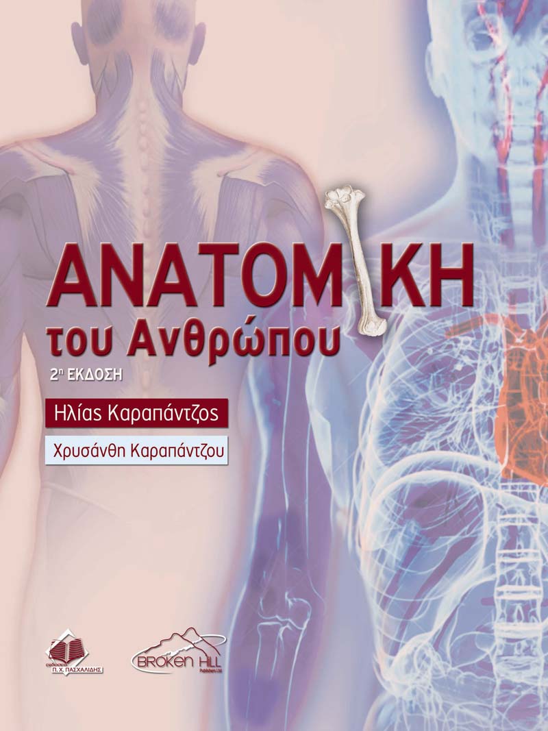 ΑΝΑΤΟΜΙΚΗ ΤΟΥ ΑΝΘΡΩΠΟΥ