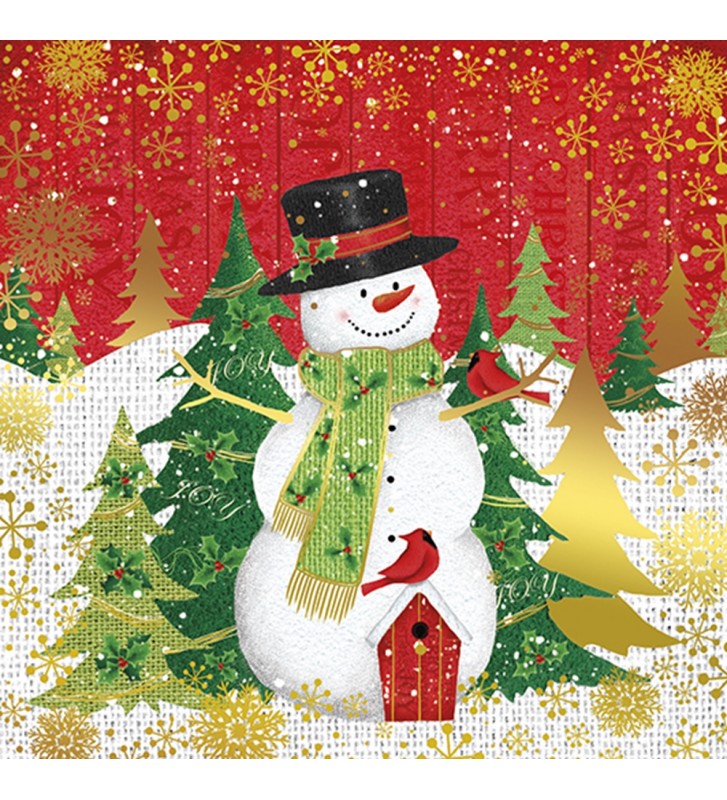 ΕΥΧΕΤΗΡΙΕΣ ΚΑΡΤΕΣ XMAS  13.5X13.5CM SNO