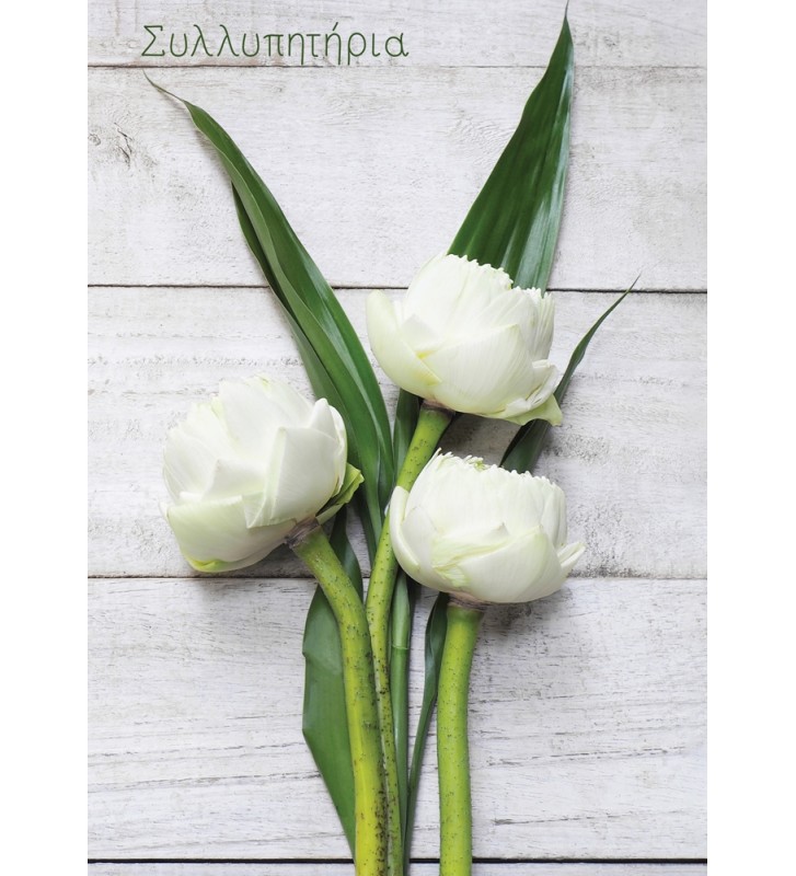 ΕΥΧΕΤΗΡΙΕΣ ΚΑΡΤΕΣ EVERY ΣΥΛΛΥΠΗΤΗΡΙΑ REGULAR SIZE