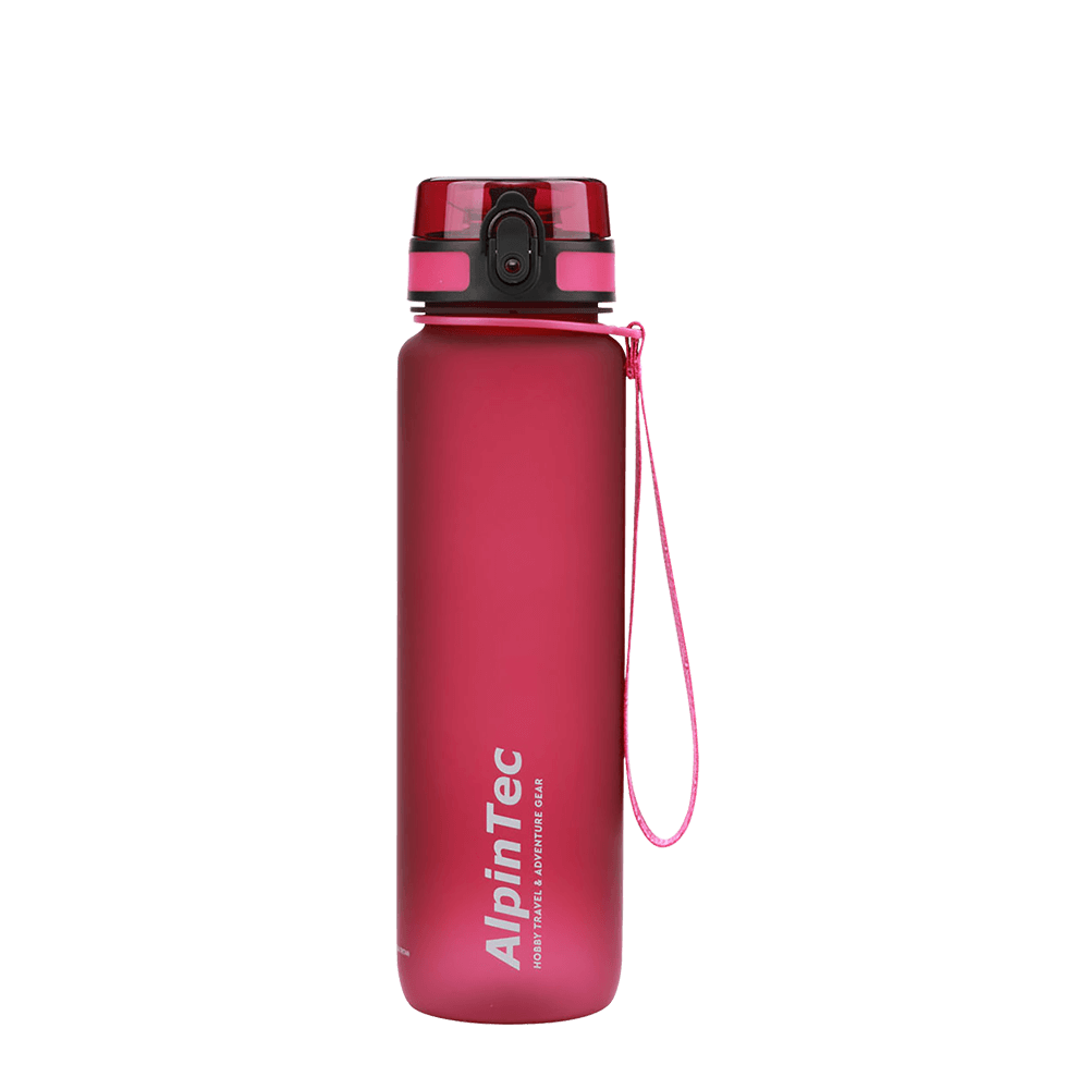 ALPINTEC ΠΑΓΟΥΡΙ 1000ml QUEST RASBERRY