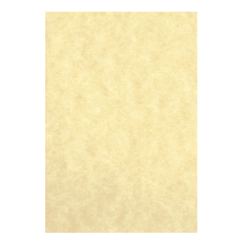 LAGUNA ΧΑΡΤΙ ΠΑΠΥΡΟΣ Α4 180gsm ΧΡΥΣΟ 125 ΦΥΛΛΑ LAGUNA ΧΑΡΤΙ ΠΑΠΥΡΟΣ Α4 180gsm ΧΡΥΣΟ 125 ΦΥΛΛΑ