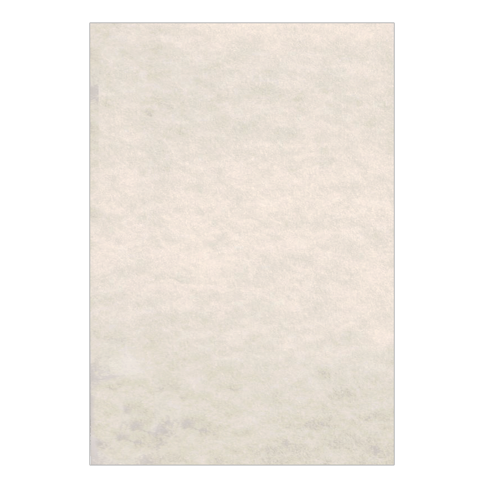 LAGUNA ΧΑΡΤΙ ΠΑΠΥΡΟΣ Α4 180gsm ΑΜΜΟΥ 125 ΦΥΛΛΑ