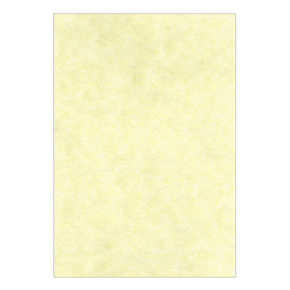 LAGUNA ΧΑΡΤΙ ΠΑΠΥΡΟΣ Α4 180gsm ΚΡΕΜ 125 ΦΥΛΛΑ