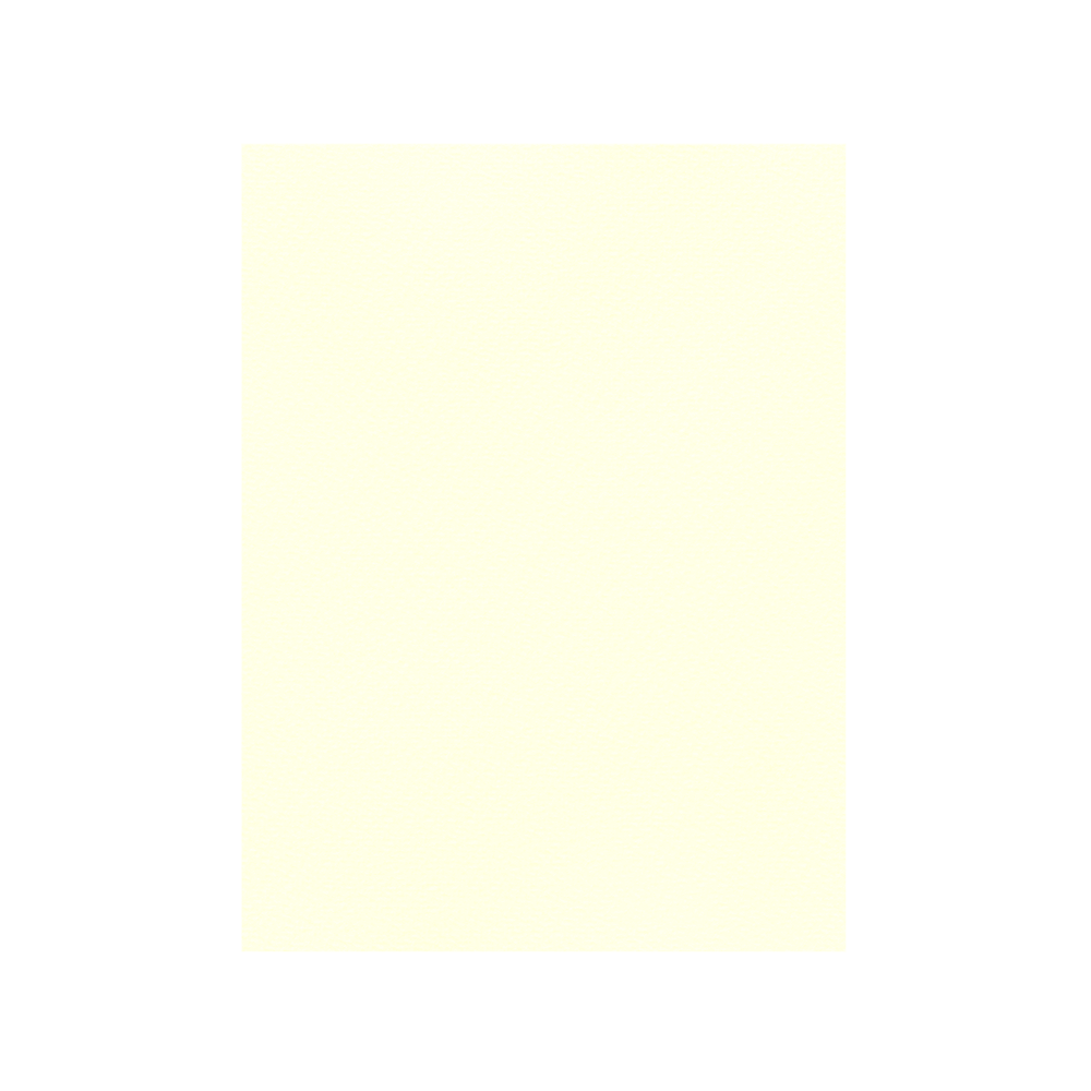 FAVINI ΧΑΡΤΟΝΙ 50x70cm 220gr ΚΡΕΜ ΑΝΟΙΧΤΟ Νο05