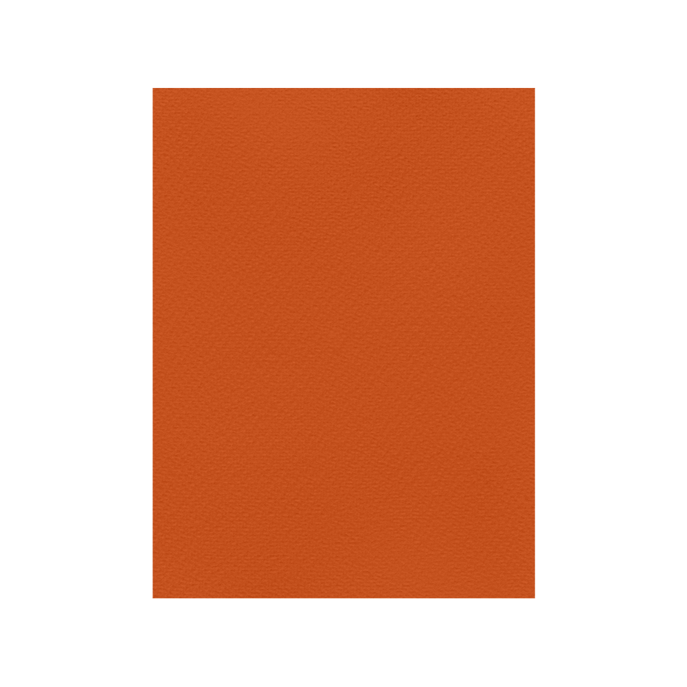 FAVINI ΧΑΡΤΟΝΙ 50x70cm 220gr ΠΟΡΤΟΚΑΛΙ Νο09 FAVINI ΧΑΡΤΟΝΙ 50x70cm 220gr ΠΟΡΤΟΚΑΛΙ Νο09