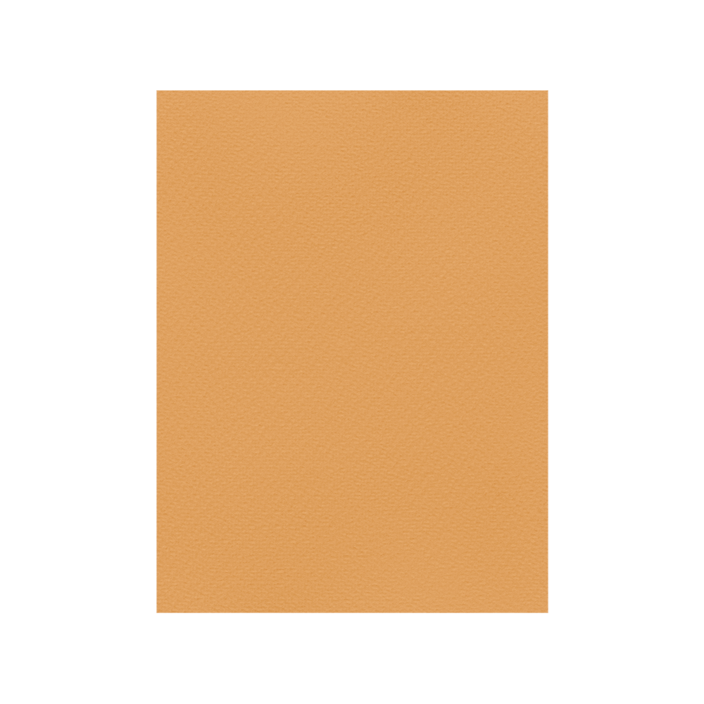 FAVINI ΧΑΡΤΟΝΙ 50x70cm 220gr TABACCO Νο12