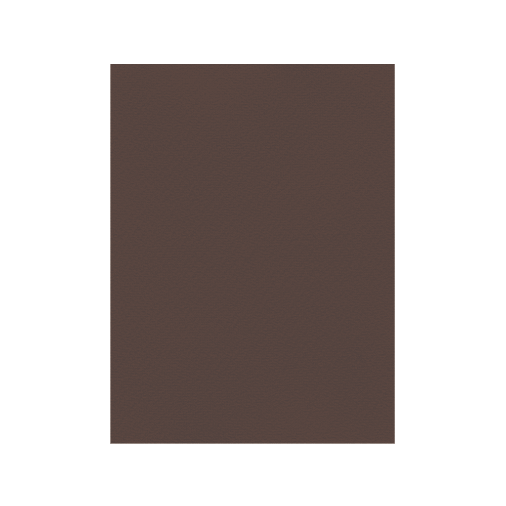 FAVINI ΧΑΡΤΟΝΙ 50x70cm 220gsm ΚΑΦΕ ΣΚΟΥΡΟ Νο13