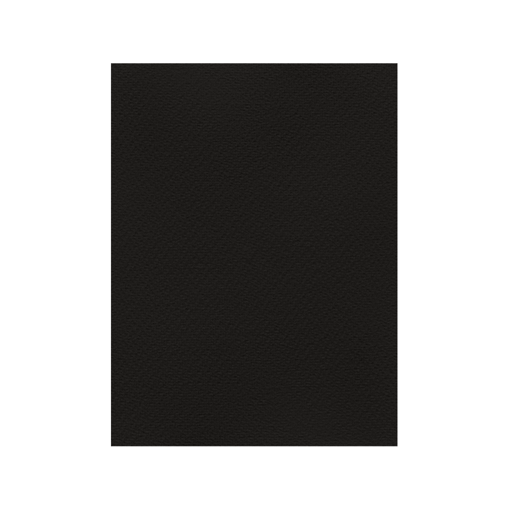 FAVINI ΧΑΡΤΟΝΙ 50x70cm 220gsm ΜΑΥΡΟ Νο14