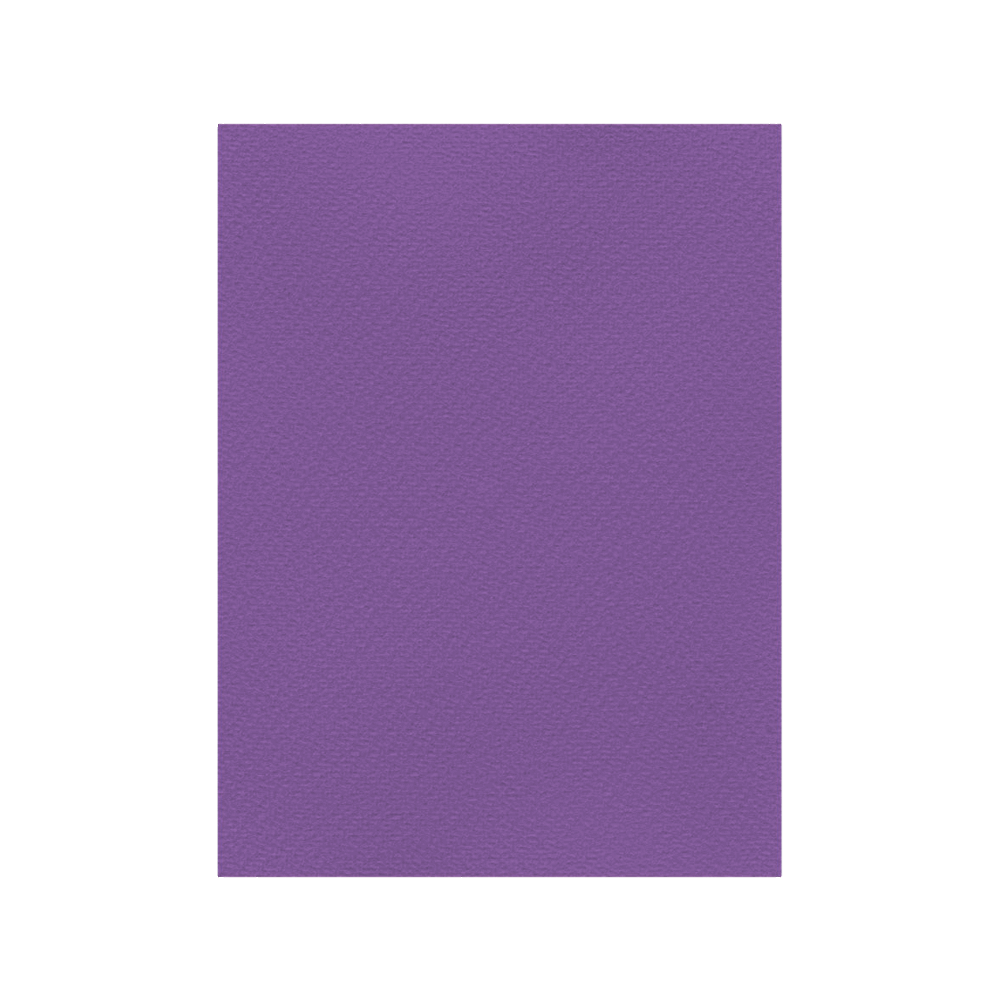 FAVINI ΧΑΡΤΟΝΙ 50x70cm 220gsm ΒΙΟΛΕΤΙ Νο19