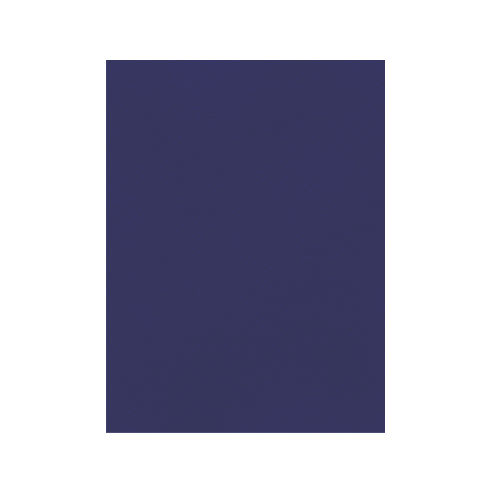 FAVINI ΧΑΡΤΟΝΙ 50x70cm 220gsm BLUE BLACK Νο23