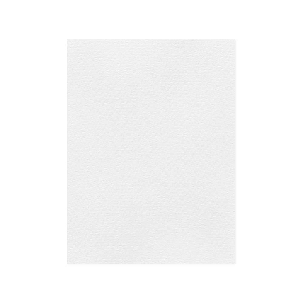 FAVINI ΧΑΡΤΟΝΙ 70x100cm 220gsm ΛΕΥΚΟ Νο03