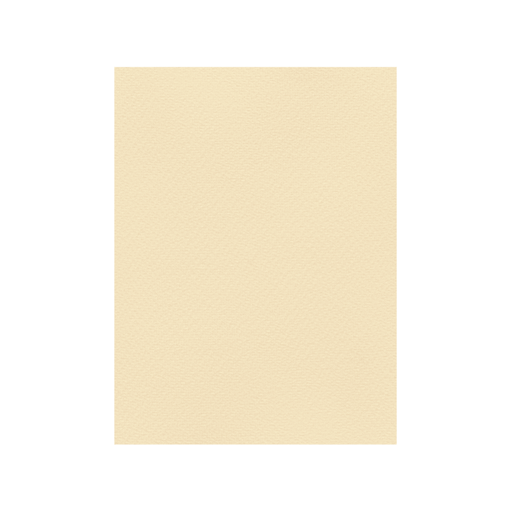 FAVINI ΧΑΡΤΟΝΙ 70x100cm 220gsm ΚΡΕΜ Νο04