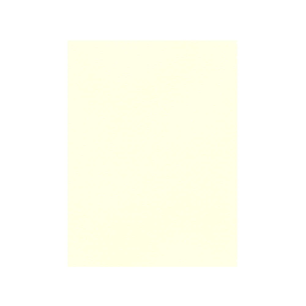 FAVINI ΧΑΡΤΟΝΙ 70x100cm 220gr ΚΡΕΜ ΑΝΟΙΧΤΟ Νο05
