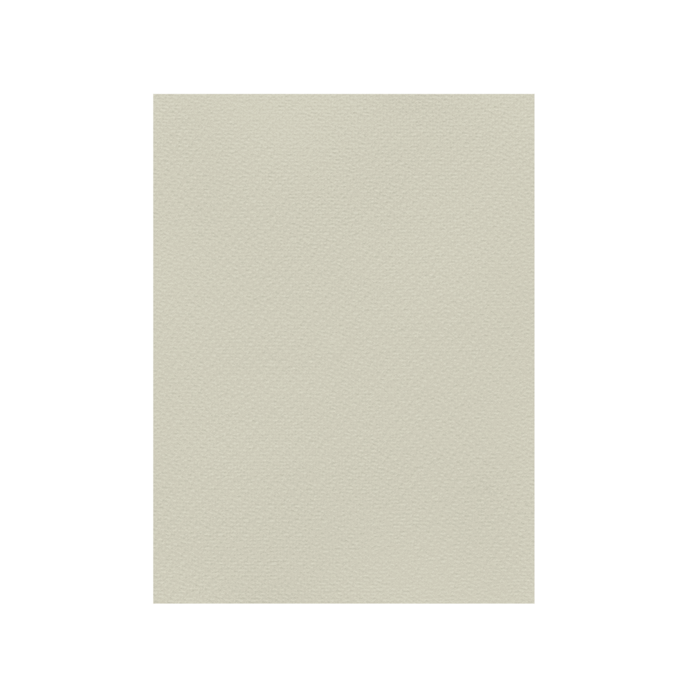 FAVINI ΧΑΡΤΟΝΙ 70x100cm 220gsm ΓΚΡΙ Νο06