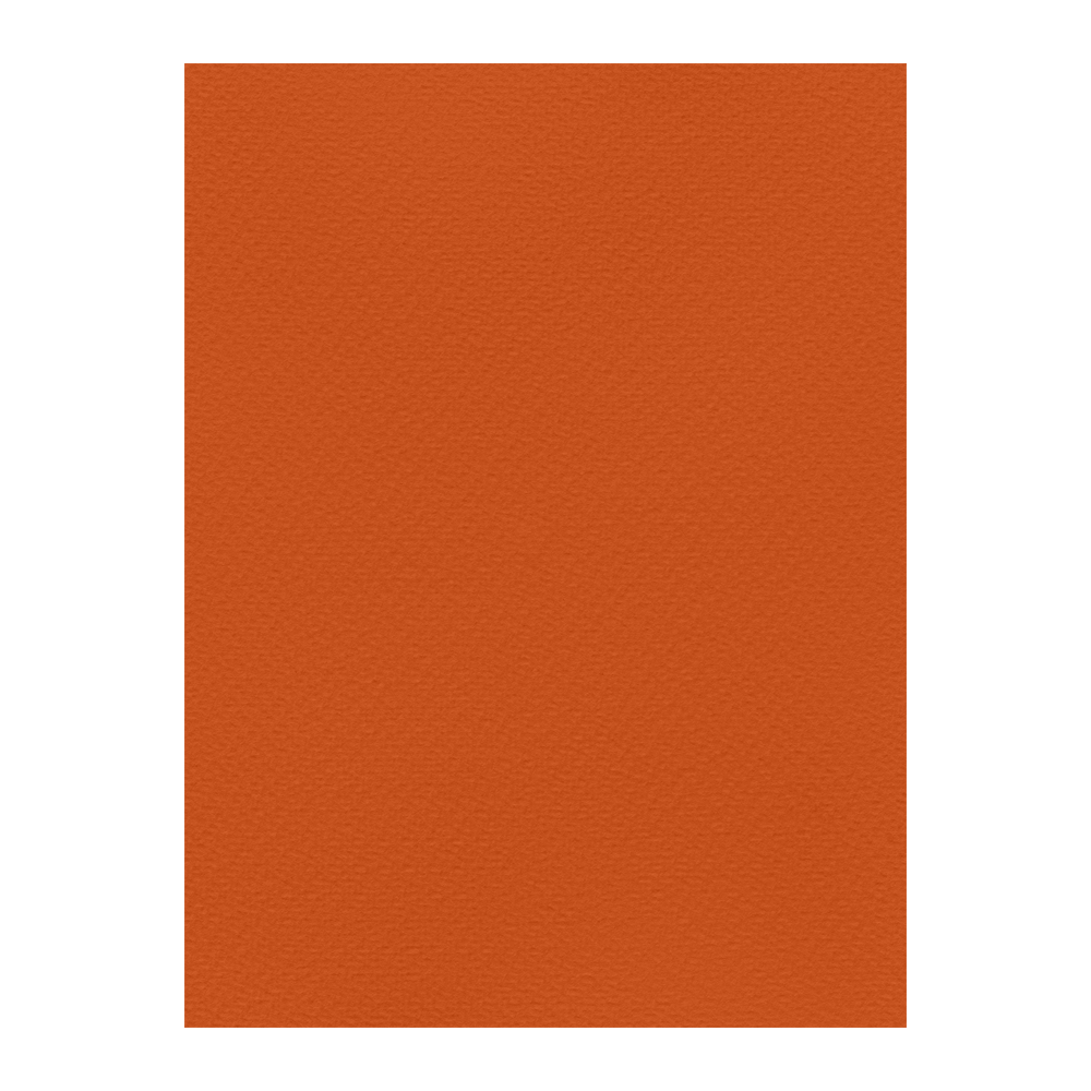 FAVINI ΧΑΡΤΟΝΙ 70x100cm 220gsm ΠΟΡΤΟΚΑΛΙ Νο09